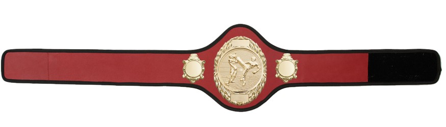 KICKBOXING CHAMPIONSHIP BELT-PRO286/G/KBOG-10+ COLOURS